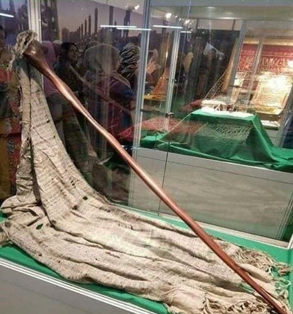 Photograph of a staff/cane relic in a museum display case.